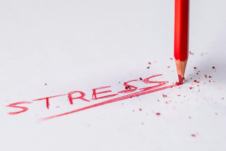 Natural Ways to Alleviate Stress